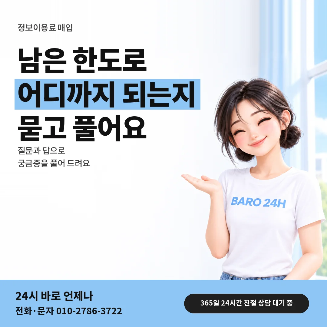 BARO 24H 티셔츠를 입은 3D 인물 옆에 「정보이용료 매입 문답 안내」 제목을 얹은 안내 카드